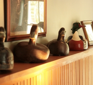 mallard-gallery-2.jpg