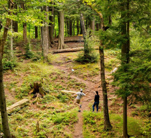 Disc Golf