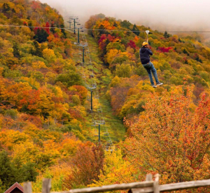 Foliage Zip Lining