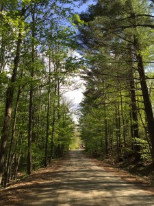 Vermont, Mad River Valley, Summer, Golf, Hiking, Biking