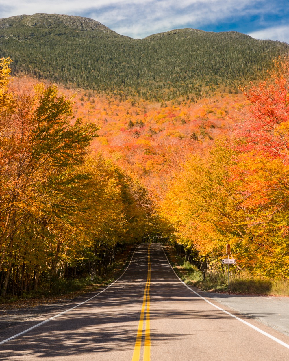 Fall Foliage Soaring